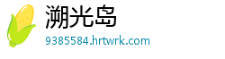 溯光岛